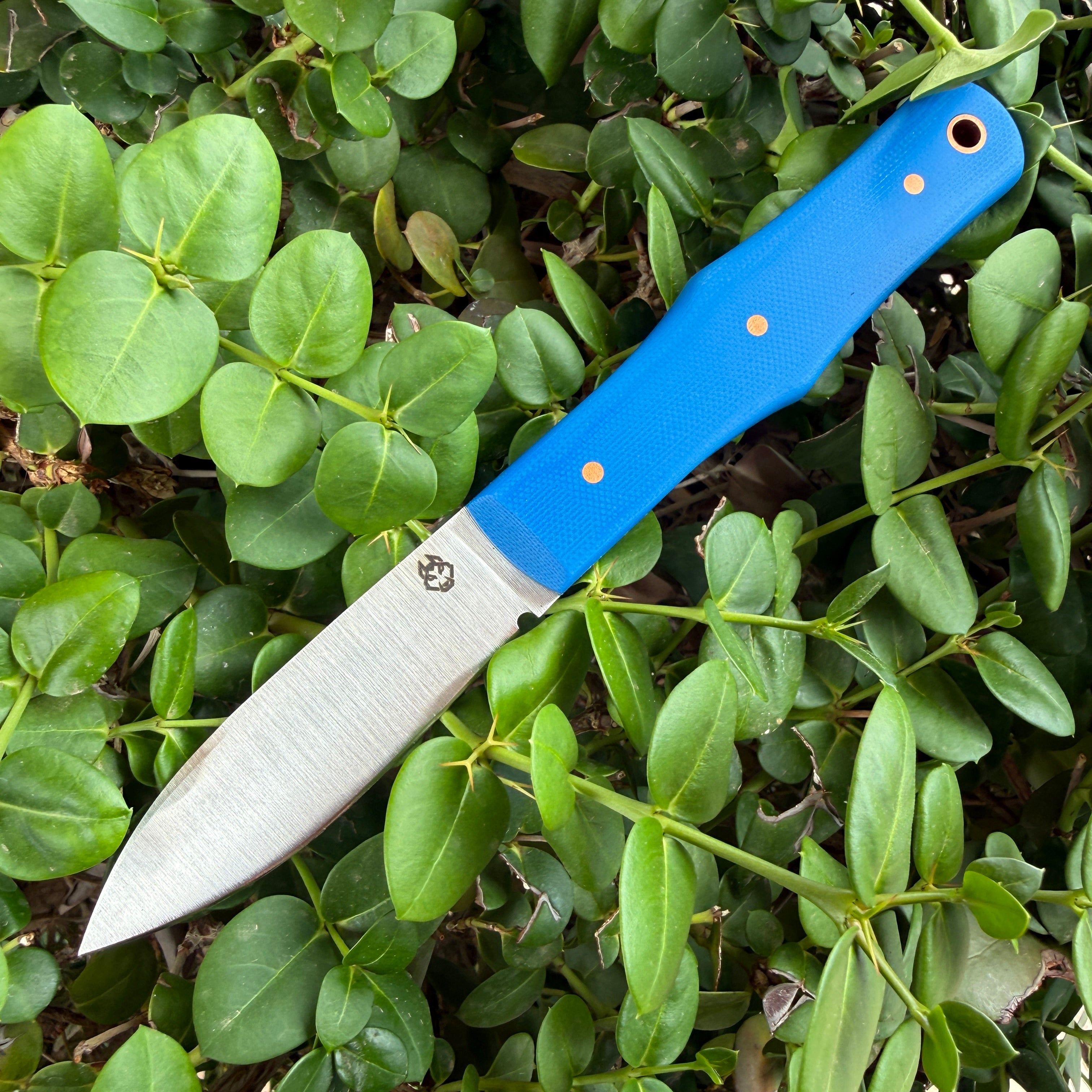 Vampire Hunter Mainline - Blue G10