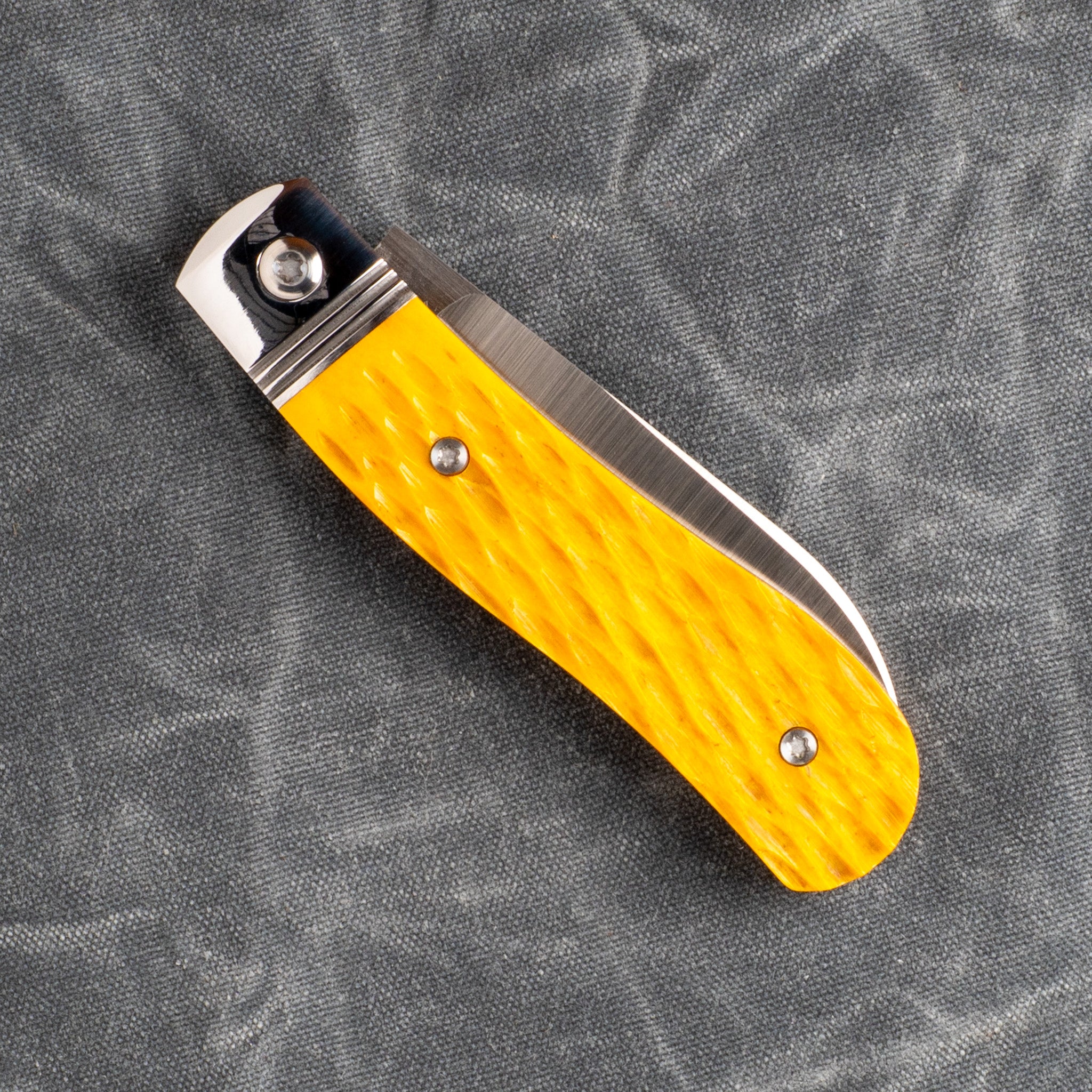 K9 JACK - YELLOW JIGGED BONE