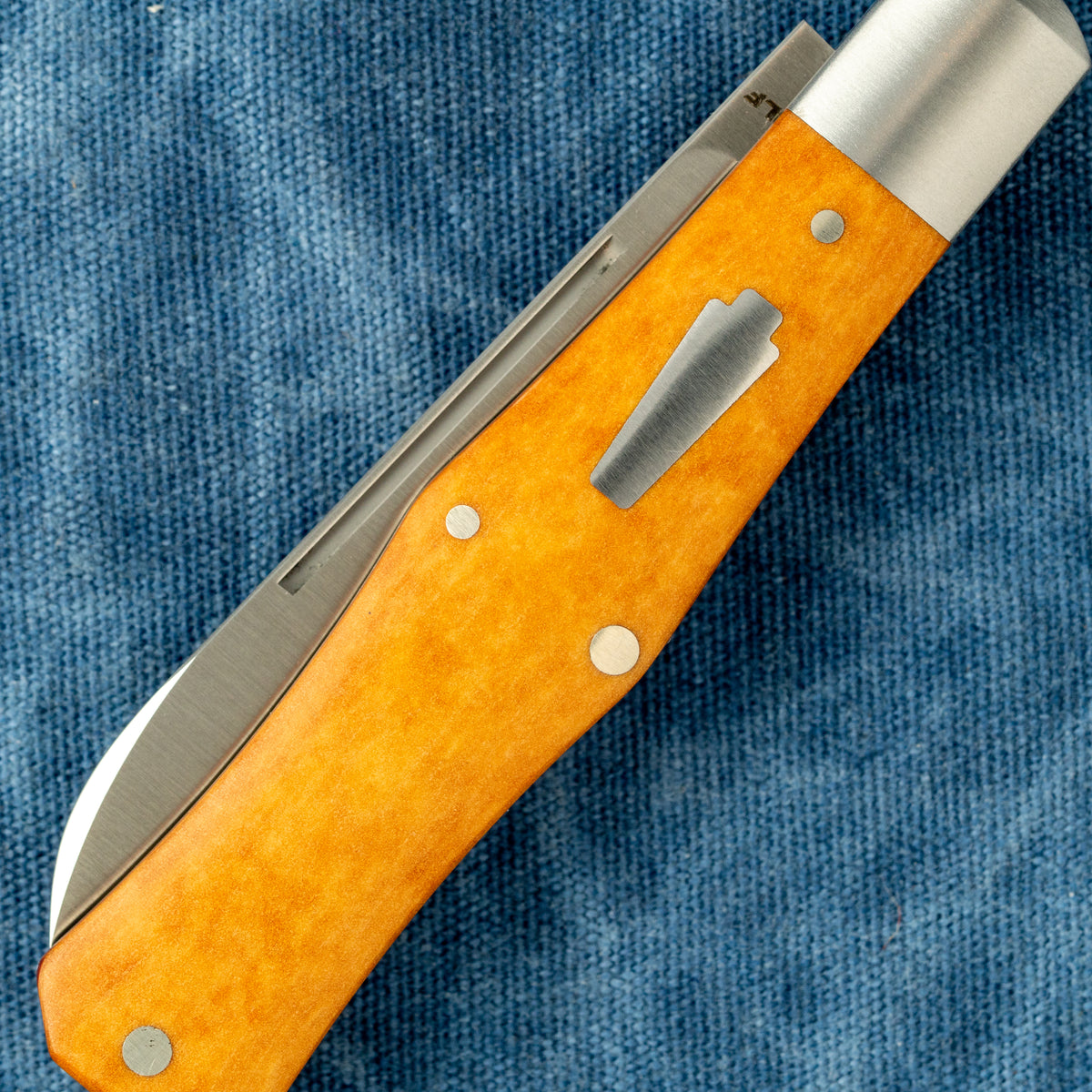 COFFIN - MAPLE VALLEY RICHLITE