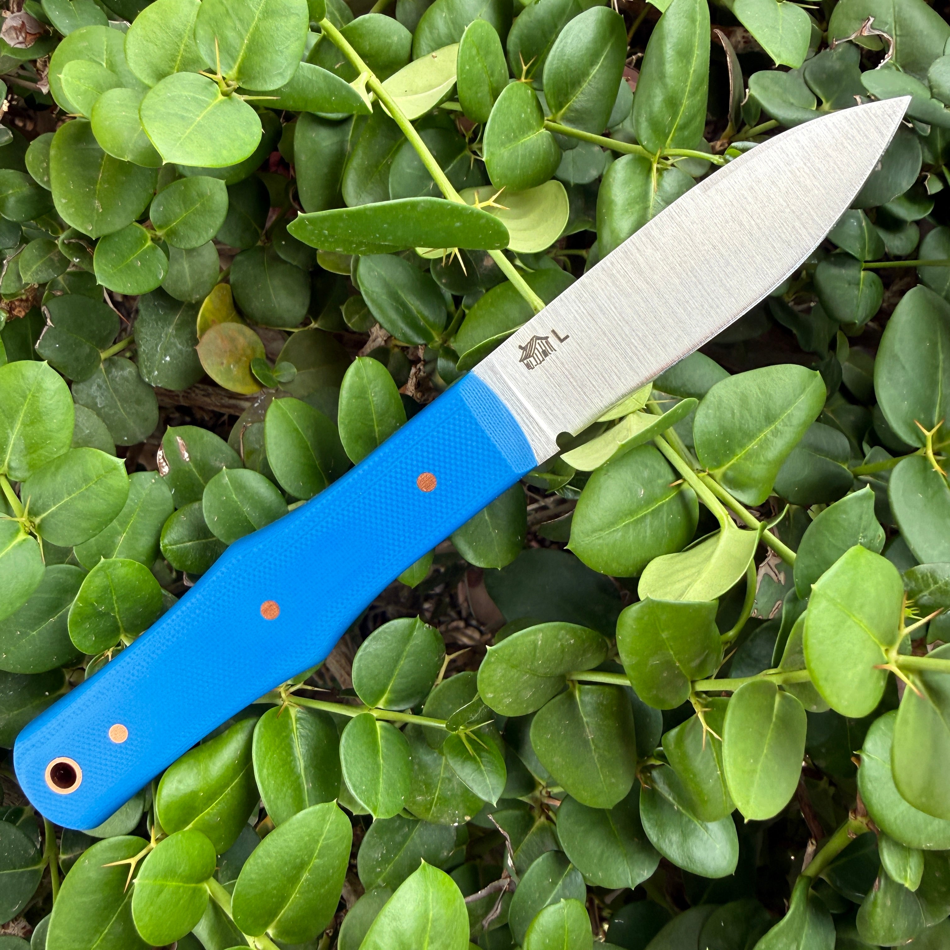 Vampire Hunter Mainline - Blue G10