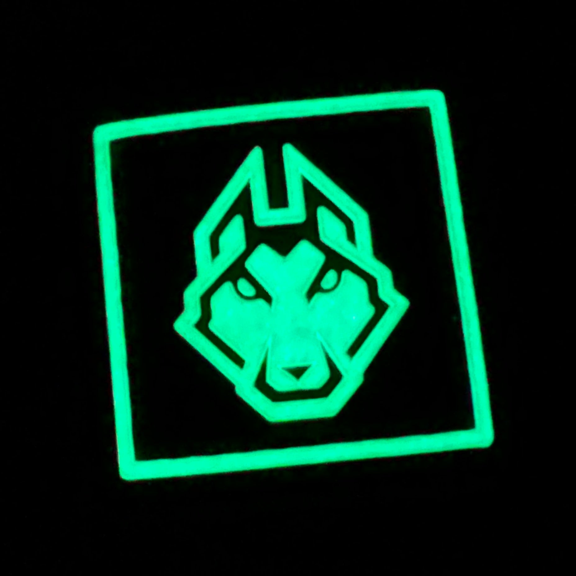 Ranger Eye - Black & White Logo Glow in the Dark 1 x 1